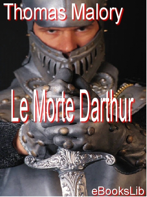 Cover image for Le Morte Darthur